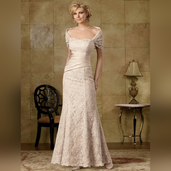 NWT Caterina Collection Pink Lace Jordan Formal Gown Size 8 - Picture 6 of 6